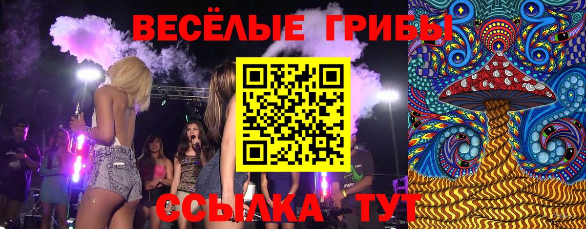 Псилоцибиновые грибы Cubensis  Вход с VPN  Сальск 